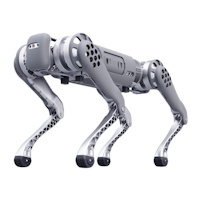 Robot Dogs