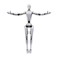 Humanoids